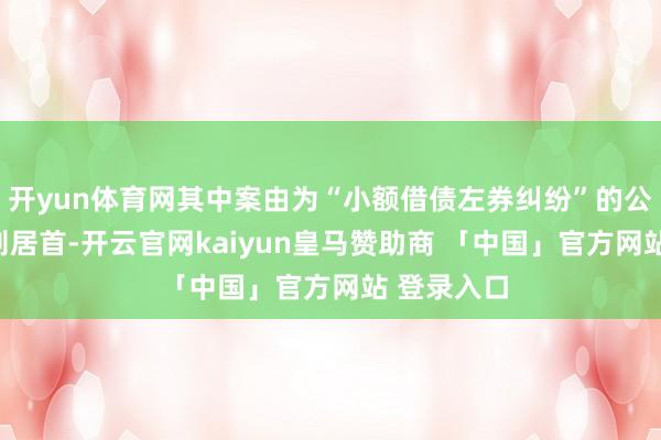 开yun体育网其中案由为“小额借债左券纠纷”的公告以546则居首-开云官网kaiyun皇马赞助商 「中国」官方网站 登录入口